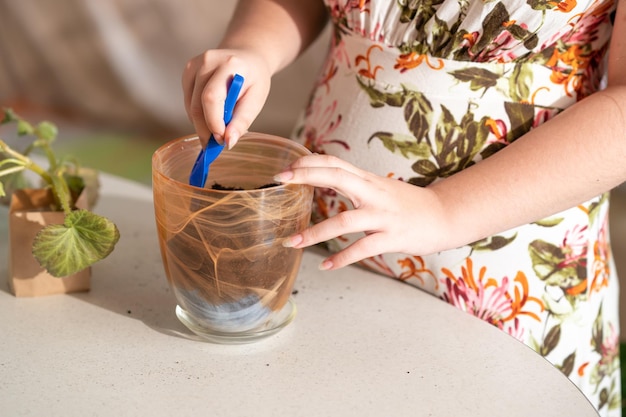 woman planting flowers. transplanting a flower into a pot