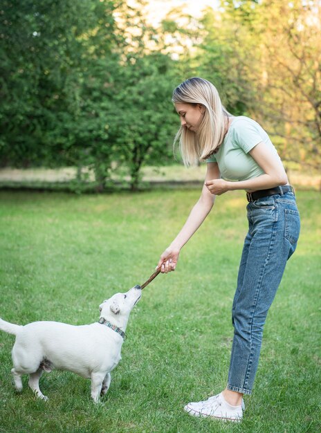 Woman playing with a dog breed Jack Russell Terrier