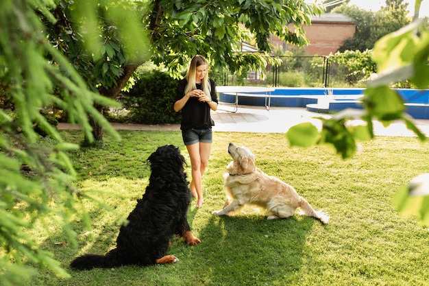 Woman playing with dog Labrador and Sennenhund outdoors in park