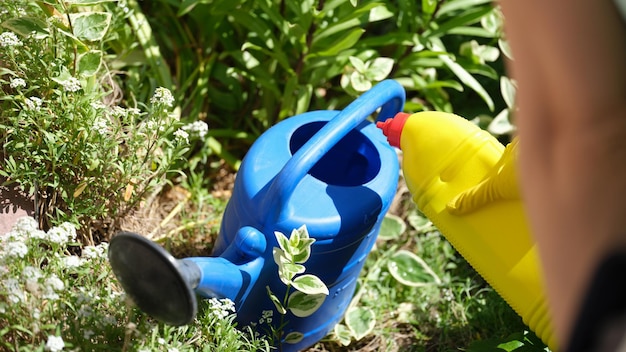 Woman pours liquid mineral fertilizer into watering can for garden plants garden care concept