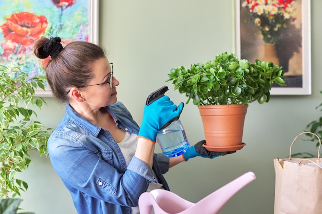 Woman pours liquid mineral fertilizer in spray bottle and fertilizes plant leaves. Cultivation and caring for indoor potted plants. Hobbies and leisure, home gardening houseplant, urban jungle concept