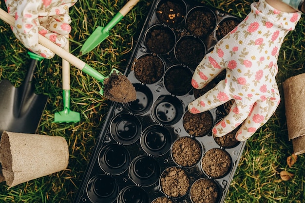 A woman prepares the ground for planting seeds in cells in the spring Closeup hands are running with the earth