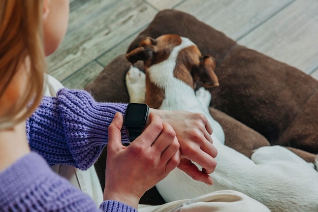 Woman in the purple sweater sits in armchair and checks the time on her wristwatch Dog on background