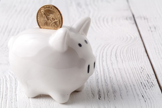 Woman Putting Coin In Piggy Bank