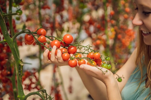 Woman and red cherry tomatoes on the bushes