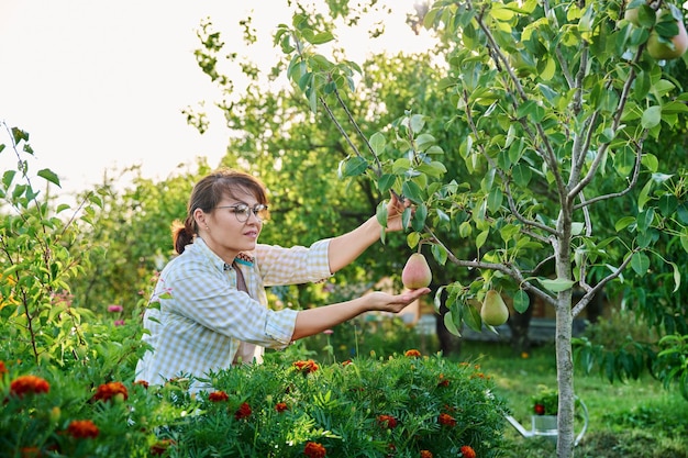 Woman rejoicing at pear harvest in garden