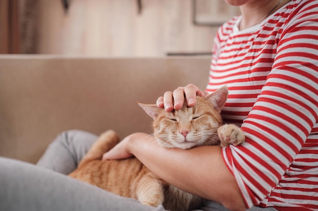 Woman relaxing with her ginger pet on a sofa Cosy scene hygge concept