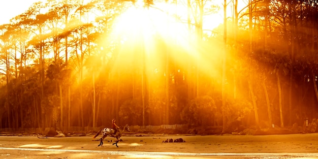 Woman riding horse on beach