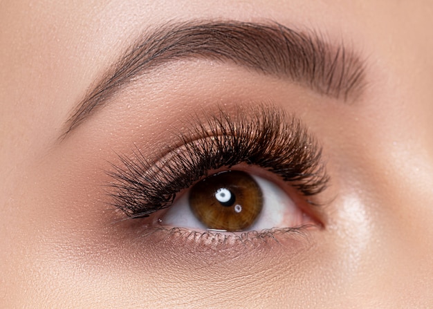 Woman's eye with professional make up