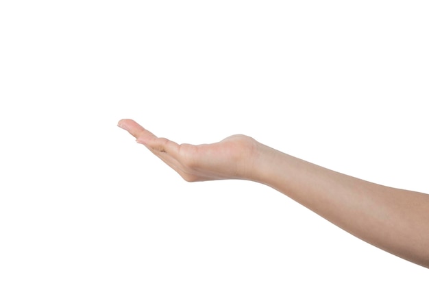 Woman's hand extended in the position of receiving something with white background and copy space