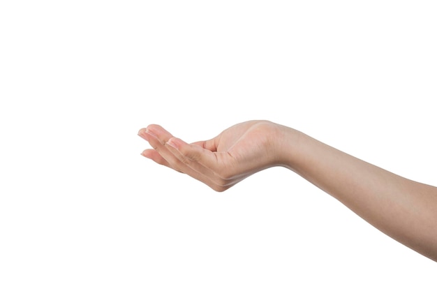 Woman's hand extended in the position of receiving something with white background and copy space