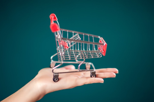 Woman's hand holding empty shopping trolley in hand. Commercial concept