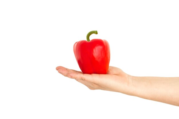 Woman's hand holding a red pepper on white background