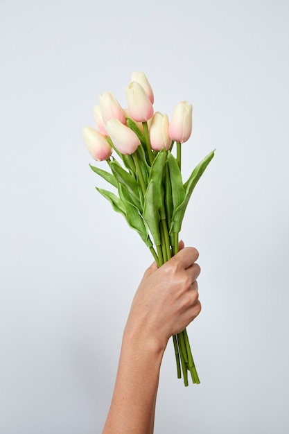 Woman's hand holding tulips