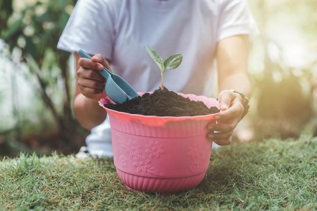 woman's hand planting a plant in a pink pot