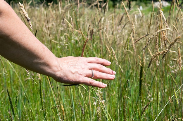 Photo woman's hand touching the grass, 'feeling nature'