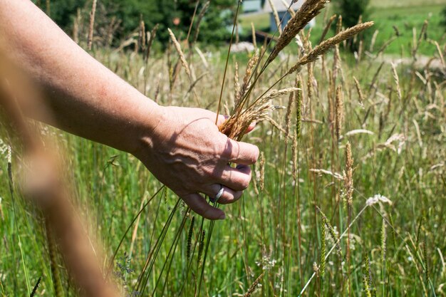 Woman's hand touching the grass, 'feeling nature'