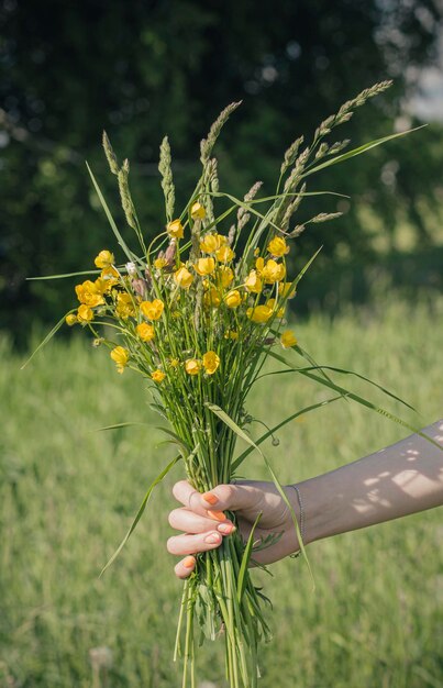 A woman's hand with a bouquet of wild flowers on a forest background