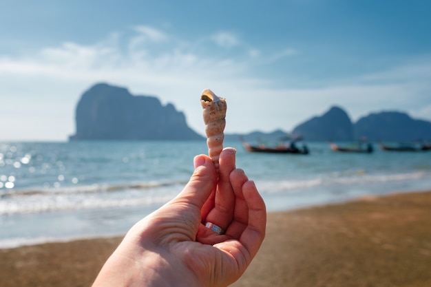 Woman's hand with white beautiful conch shell over the sea.