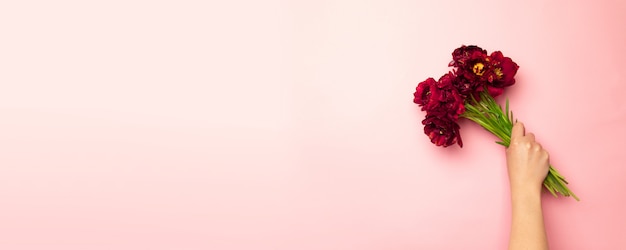 Woman's hands holding Bouquet of tulips on pink horizontal background. 