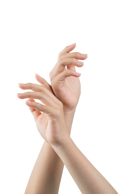 Woman's hands intertwined in the air with elegant pose and white background