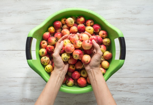 The woman's hands washed apples in the pelvis