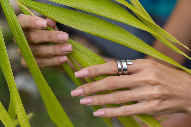 Woman's hands with long fingers and natural gel polish nude manicure color large silver ring holding light green palm leaf