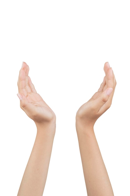 Woman's hands with white background and copy space