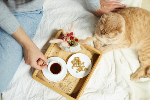 Woman sitting on the bed, and drink coffee, cat feeding