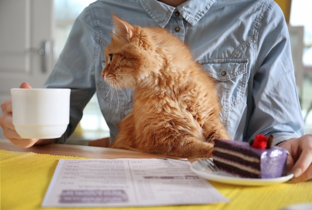 Woman sitting at table in cat cafe closeup