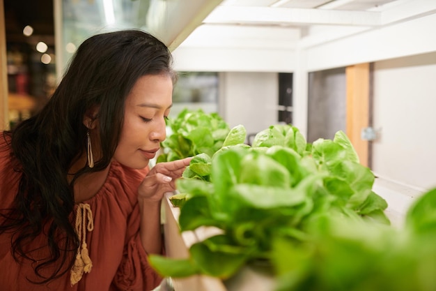 Woman Smelling Lettuce in Store