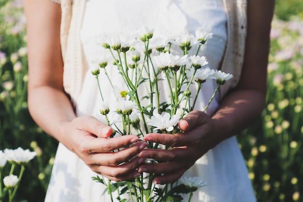 The woman stood holding many white chrysanthemum flowers in the flower garden