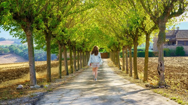 Photo woman strolling along a path among trees lined up on a sunny day and at sunset