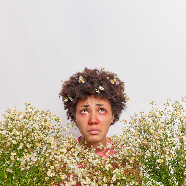 woman suffers from seasonal allergy hay fever concentrated above has curly hair with stuck camomile flowers being allergic to pollen isolated over white 