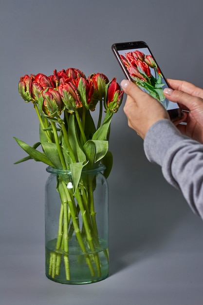 Photo woman takes photo of red tulips bouquet in glass vase on smartphone. beautiful tulips flower for postcard beauty and design.