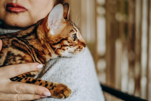 A woman tenderly holds her pet Bengal cat in her hands