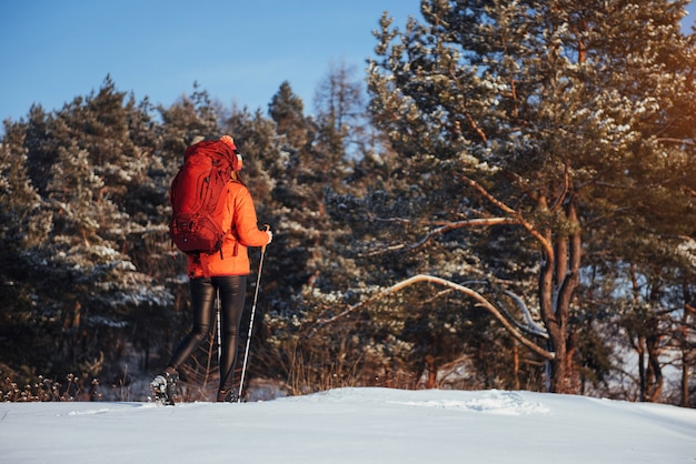 Woman Traveler with backpack hiking Travel Lifestyle adventure  active vacations outdoor. Beautiful landscape  forest