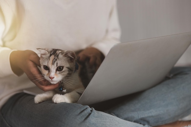 A woman uses a cell phone to a cat sitting on his lap