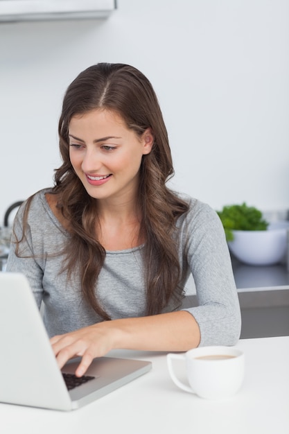 Woman using her laptop pc in the kitchen