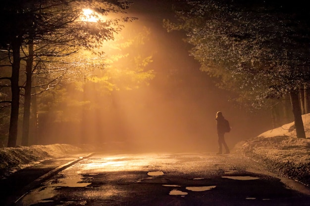 Woman walking alone into the misty foggy road in a dramatic mystic scene with warm colors