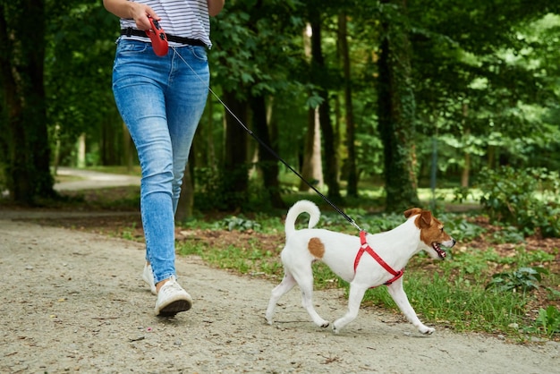 Woman walking with dog in summer park