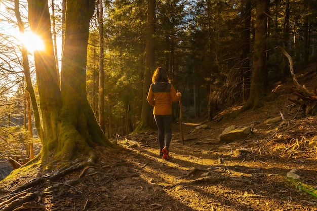 Woman walking in a yellow jacket on a trek through the woods one afternoon at sunset