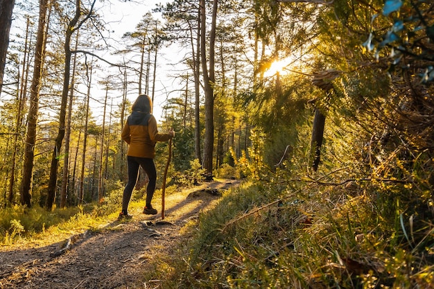 Woman walking in a yellow jacket on a trek through the woods one afternoon at sunset