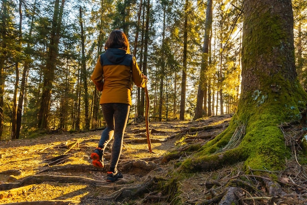 Woman walking in a yellow jacket on a trek through the woods one afternoon at sunset