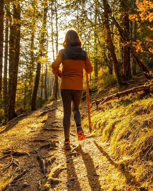 Woman walking in a yellow jacket on a trek through the woods one afternoon at sunset