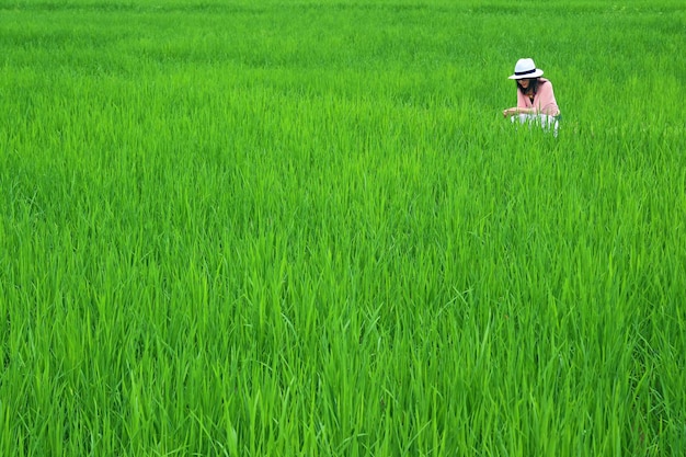 Woman in white hat enjoy her vacation in the green paddy field in northern region of Thailand