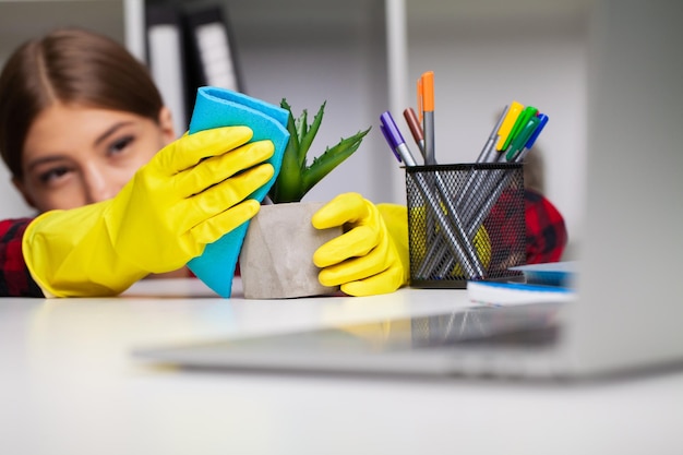 Woman wipes the dust off the leaves with a damp soft cloth