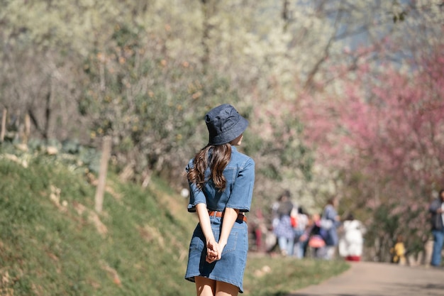 Woman with cherry blossoms or sakura flower blooming in the park