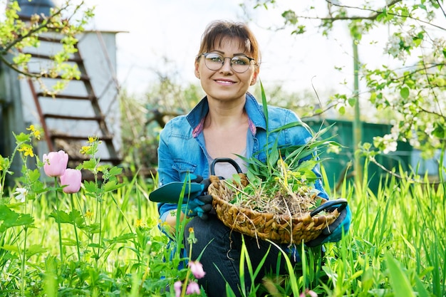 Woman with garden shovel in gloves weeds in flower bed with blooming spring flowers