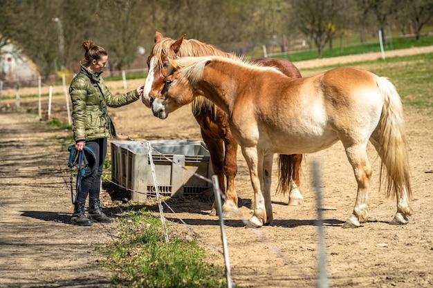 Woman with a horse in the paddock in nature